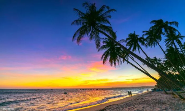 TOP 10 tranh phong cảnh Mũi Né Phan Thiết đẹp miễn chê