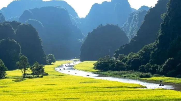 2024] 2000+ Ảnh Quê Hương & Tranh Vẽ Làng Quê Việt Nam Đẹp Nhất