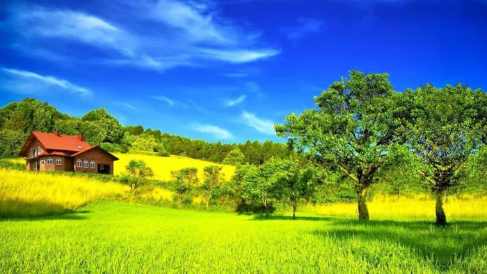 Hình nền quê hương tuyệt đẹp, mang đậm hồn quê và sự bình yên.