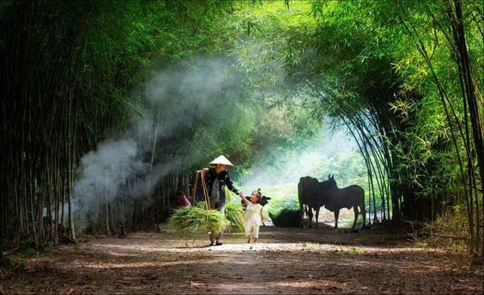 Khám phá 18 ý tưởng 1001+ ảnh quê hương và ảnh đồng quê | thiên nhiên,  tranh phong cảnh, nông dân và các ý tưởng khác