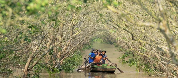 Khám phá rừng ngập mặn Vinh Quang