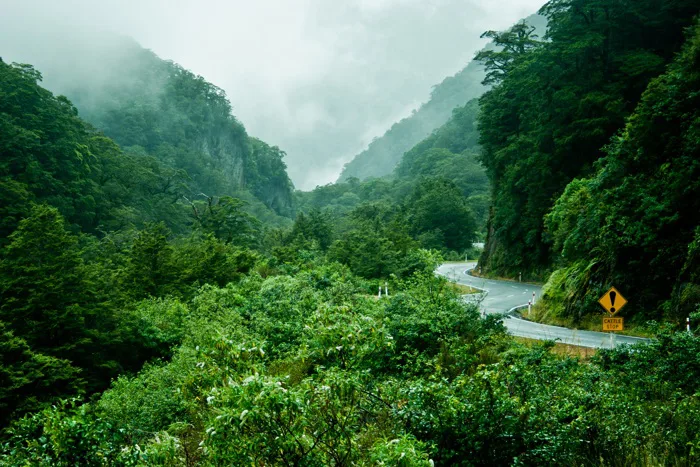 hình ảnh : phong cảnh, thiên nhiên, Hoang dã, Lá, đồi núi, hoa, con sông,  Thung lũng, dãy núi, suối, màu xanh lá, rừng nhiệt đới, công viên quốc gia,  Cây cỏ,