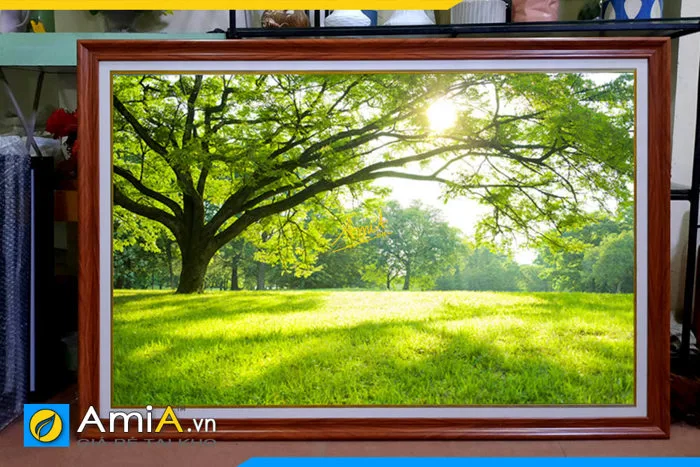 Bức tranh phong cảnh rừng cây thảm cỏ dưới nắng AmiA 1952