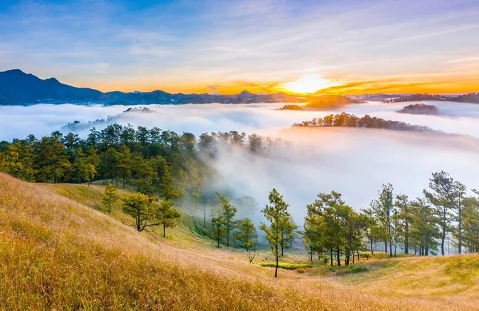 Vi vu đến 8 khu rừng thông Đà Lạt đẹp hoang sơ và thơ mộng nhất – VinWonders
