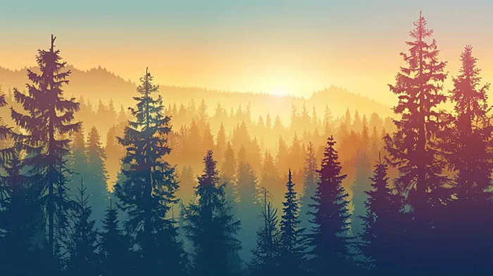 100,000+ Rừng Hôn Nắng Pictures Ảnh, Ảnh Và Hình Nền Để Tải Về Miễn Phí -  Pngtree
