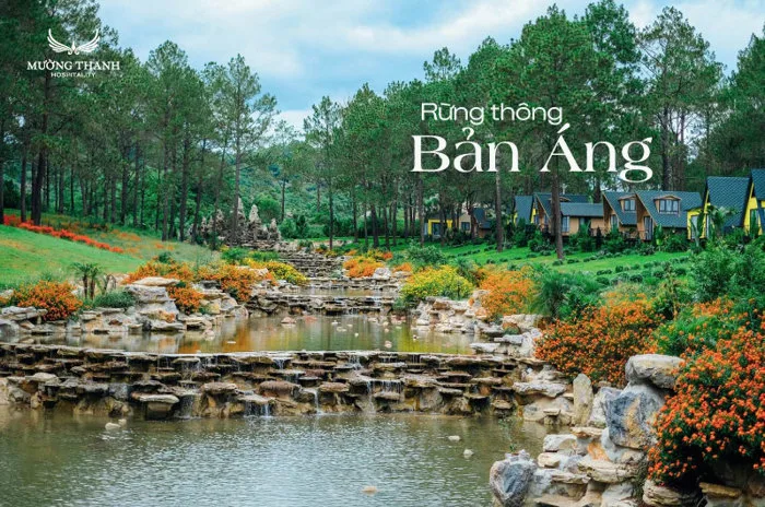 Rừng thông Bản Áng – Đà Lạt thu nhỏ giữa lòng Tây Bắc