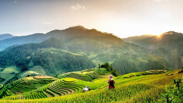 Top 6 ruộng bậc thang đẹp nhất Việt Nam mà bạn không thể bỏ lỡ