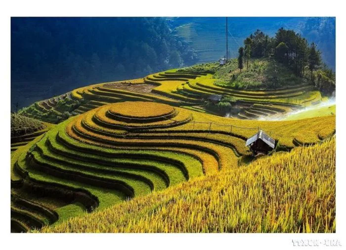 Ruộng bậc thang – Nét văn hóa đặc trưng của vùng cao