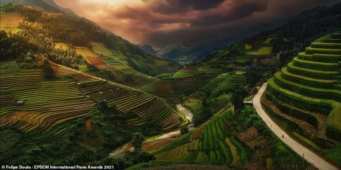 Cảnh ruộng bậc thang Việt Nam vào top ảnh xuất sắc trong cuộc thi quốc tế