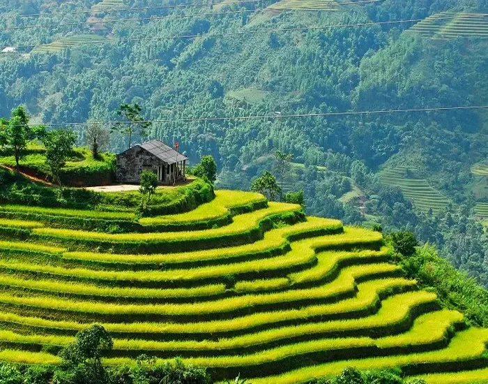 Top 6 ruộng bậc thang đẹp nhất Việt Nam