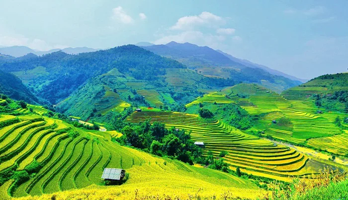 Ruộng bậc thang – một dấu ấn tuyệt đẹp trên rẻo cao của Việt Nam