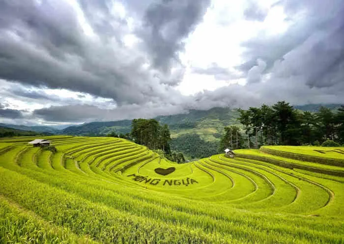 Chàng trai mê chụp ảnh săn tìm ruộng bậc thang đẹp nhất Việt Nam