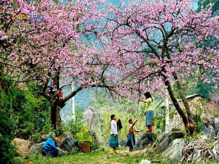 Khám Phá TOP 12 Cảnh Đẹp Sapa Bạn Không Thể Bỏ Qua