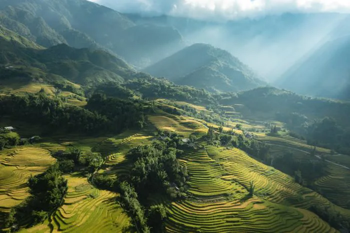 Kinh nghiệm du lịch Sa Pa 2026 từ A-Z: di chuyển, ăn chơi, lưu trú...