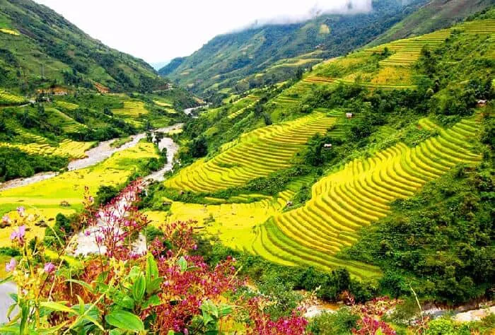 Cảnh đẹp Sapa mê đắm lòng người - Vntrip.vn