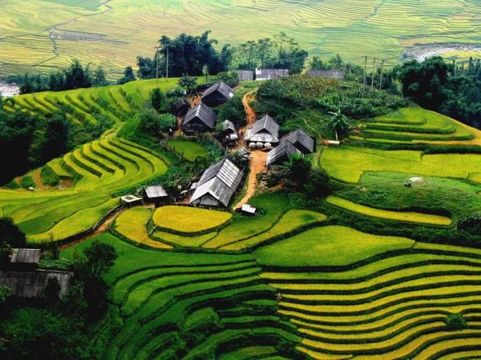 Khám phá 15 cảnh đẹp Sapa (Hướng dẫn chi tiết cách di chuyển)
