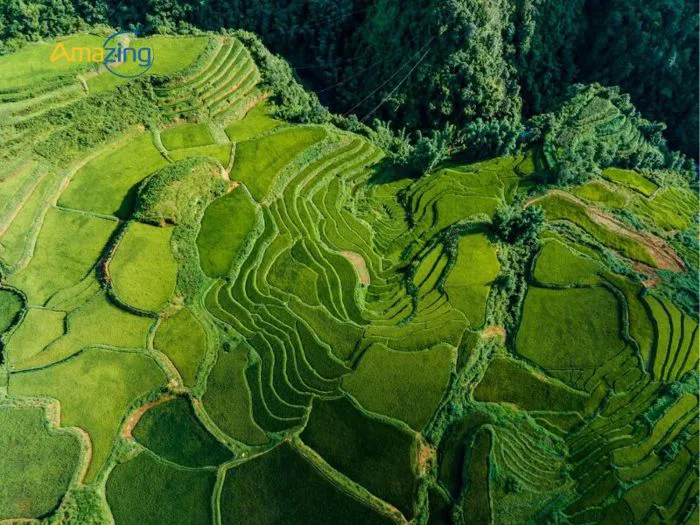 Khám Phá TOP 12 Cảnh Đẹp Sapa Bạn Không Thể Bỏ Qua