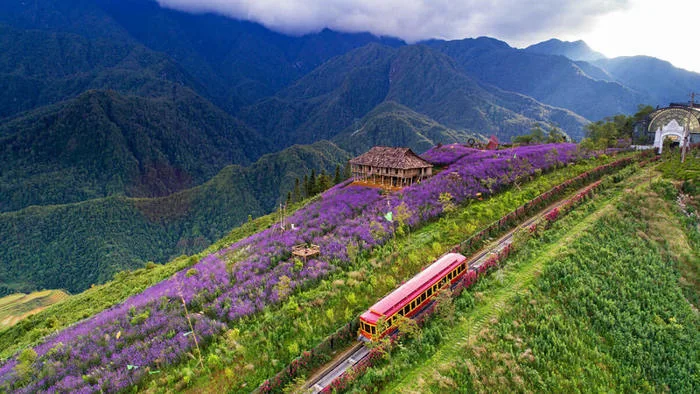 10 tuyệt tác cảnh đẹp Sapa, nơi biển mây và thiên nhiên giao hòa