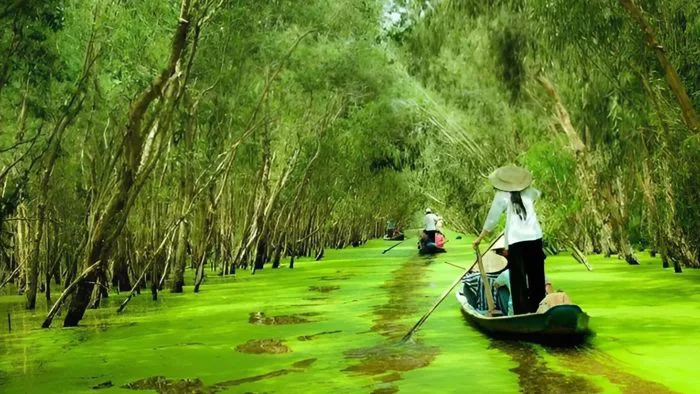 Top 20+ cảnh đẹp miền tây sông nước, phong cảnh hữu tình