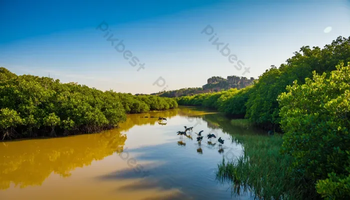 Tải miễn phí Phong Cảnh Sông Thanh Bình Với Cây Xanh Tươi Tốt Và động Vật  Hoang Dã Nhiếp Ảnh | JPG chuyên nghiệp - Pikbest