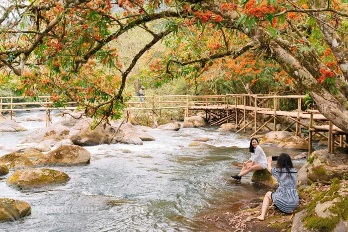 Dòng suối lạ kỳ nào mà ai cũng phải ghé khi đến du lịch Quảng Bình? - Báo  Người Lao Động