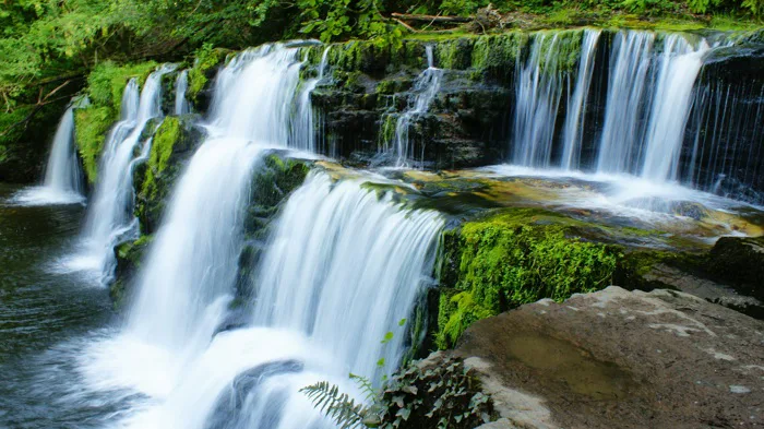 hình ảnh : phong cảnh, Nước, thiên nhiên, rừng, ngoài trời, Thác nước, Gỗ,  ngã, con sông, Cục đá, rêu, Chuyển động, hoang dã, Môi trường, Lá cây, suối,  màu xanh lá,