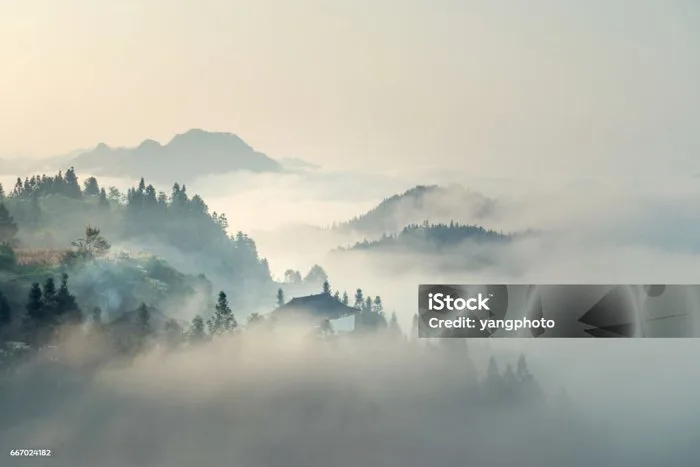 Sương Mù Buổi Sáng Hình ảnh Sẵn có - Tải xuống Hình ảnh Ngay bây giờ - Sương  mù, Núi, Phong cảnh - iStock