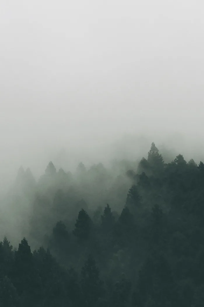 hình ảnh : phong cảnh, thiên nhiên, đám mây, Sương mù, bình Minh, sương mù,  Ánh sáng mặt trời, buổi sáng, đồi núi, Bình minh, không khí, có sương mù, Phong  cảnh,