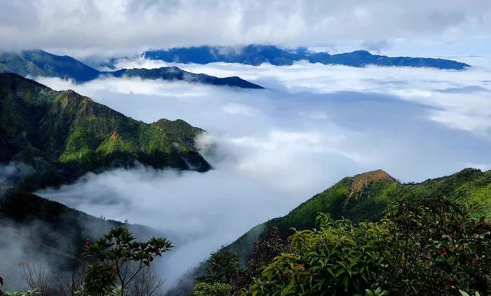 Lịch trình trekking Tà Xùa - ngọn núi cao thứ 13 của Việt Nam - To Ong  Adventure
