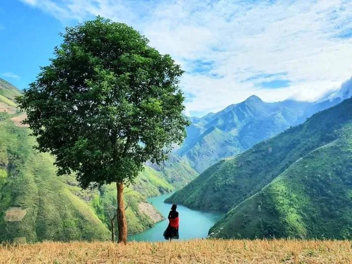 Cẩm nang Du lịch Tà Xùa 2026 từ A-Z: Di chuyển, ăn chơi, thăm quan, đặc  sản... mới nhất