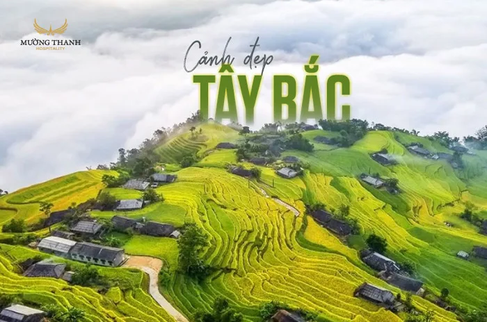 anh-phong-canh-tay-bac-1