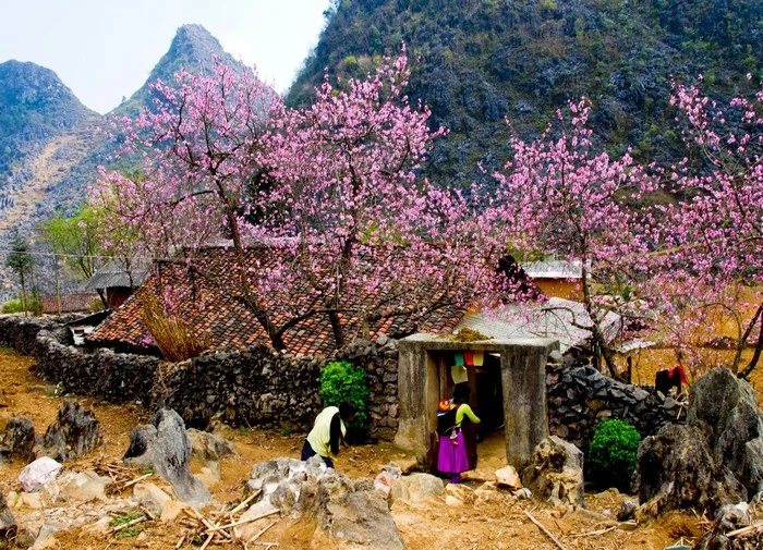 Lý do nên du lịch Tây Bắc vào mùa xuân - Cẩm nang Du lịch Trong nước