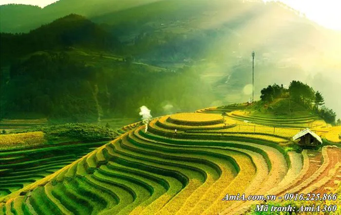200 Mẫu Tranh Phong Cảnh Đẹp Núi Rừng Tây Bắc AmiA