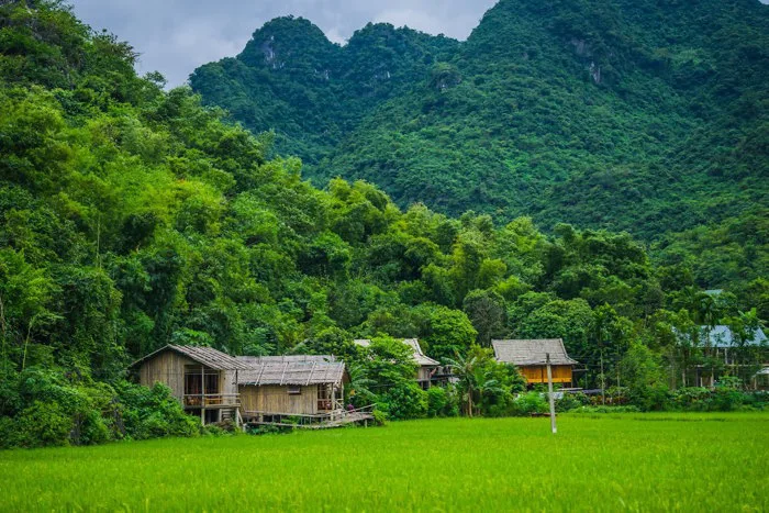 Những địa điểm du lịch Tây Bắc tuyệt đẹp trong mùa hè | Vietjet Air