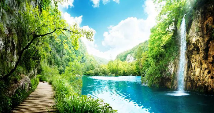 Tranh dán tường 3D phong cảnh thác nước đẹp #6 | VIPcorel.com - Thư viện  mẫu thiết kế đồ họa CorelDRAW (CDR).