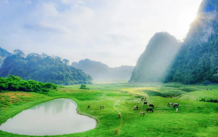 Miền thảo nguyên xanh đẹp tựa “tiên cảnh” cách Hà Nội chỉ hơn 100km | Báo  Dân trí