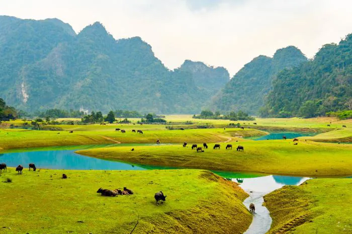 Khám phá những Miền thảo nguyên xanh tuyệt đẹp ở Việt Nam, du khách sẽ  quyến luyến ngay từ cái nhìn đầu tiên