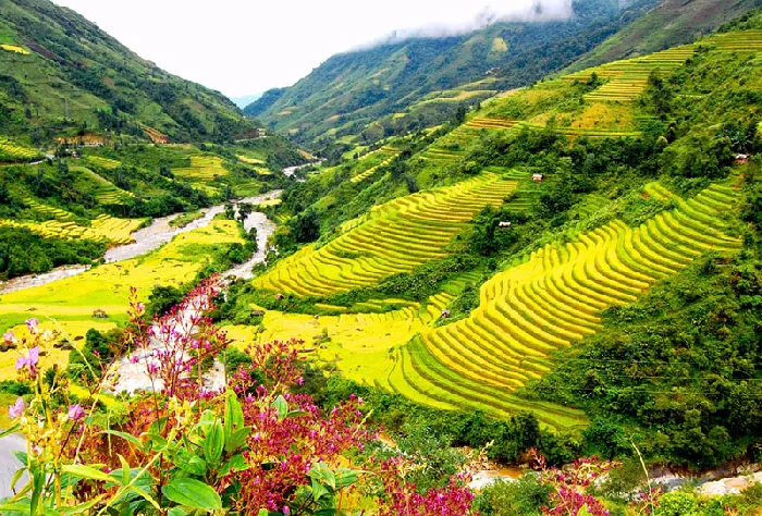 7 thung lũng đẹp như tranh ở Việt Nam, tin tuc du lich, du lich mien bac