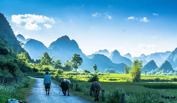 Du lịch thung lũng Phong Nậm: Sắc màu quyến rũ của non nước Cao Bằng
