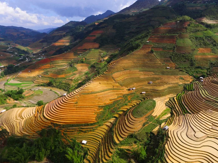 hình ảnh : phong cảnh, cánh đồng, Thung lũng, Đất, Nông nghiệp, trơn, sân  thượng, cao nguyên, Hệ sinh thái, khu vực nông thôn, Hình thái đất, chụp ảnh  trên không, môi