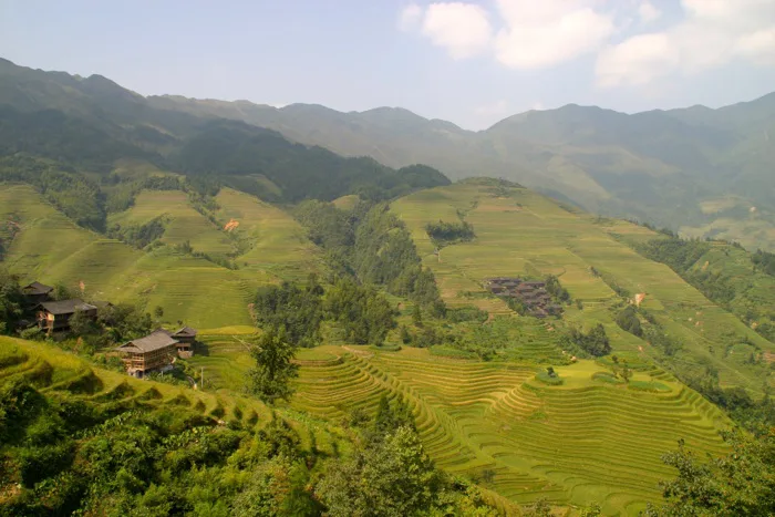 hình ảnh : phong cảnh, cánh đồng, đồng cỏ, đồi núi, Thung lũng, dãy núi,  làng, Đồng cỏ, Châu Á, Nông nghiệp, Cao nguyên, cơm, cây rơm, trơn, sân  thượng, Alps, Trồng