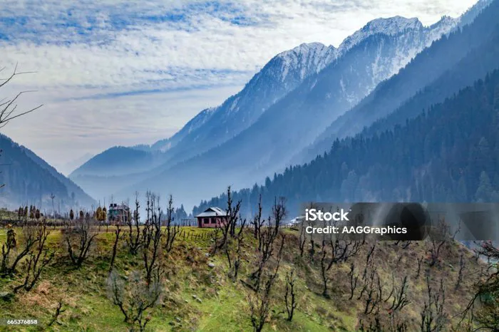 Phong Cảnh Thung Lũng Aru Gần Pahalgam Hình ảnh Sẵn có - Tải xuống Hình ảnh  Ngay bây giờ - Pahalgam, Jammu Và Kashmir, Ban ngày - iStock