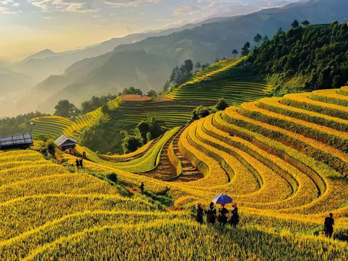 Những thung lũng buồn thiu