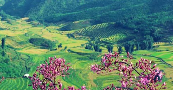 7 thung lũng đẹp như tranh ở Việt Nam | Báo Dân trí