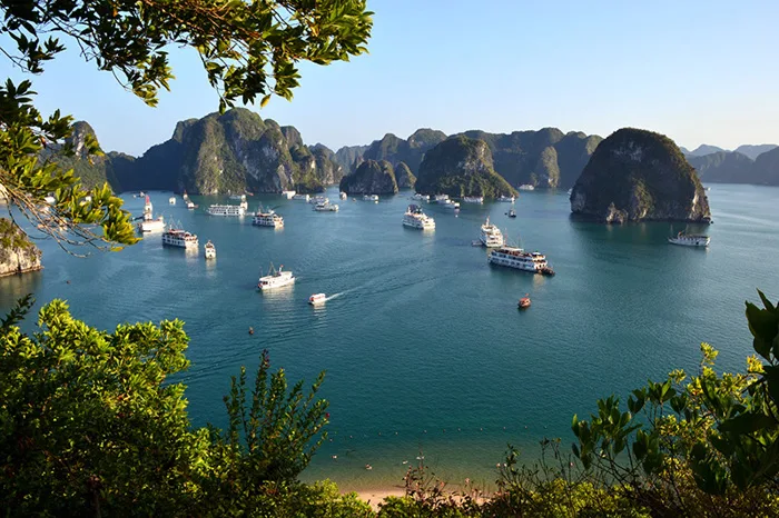 Vịnh Hạ Long - Khám phá kỳ quan thiên nhiên Thế giới