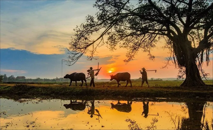 Tổng hợp những ảnh phong cảnh đẹp nhất từ làng quê đến biển cả