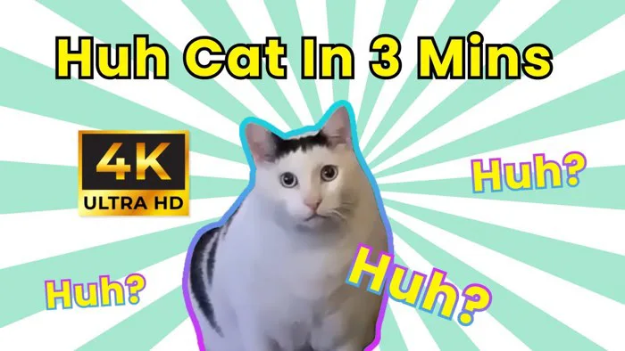 4K Enhanced Huh Cat | Enjoy Privilege Edition | Upscale Cat saying Huh!