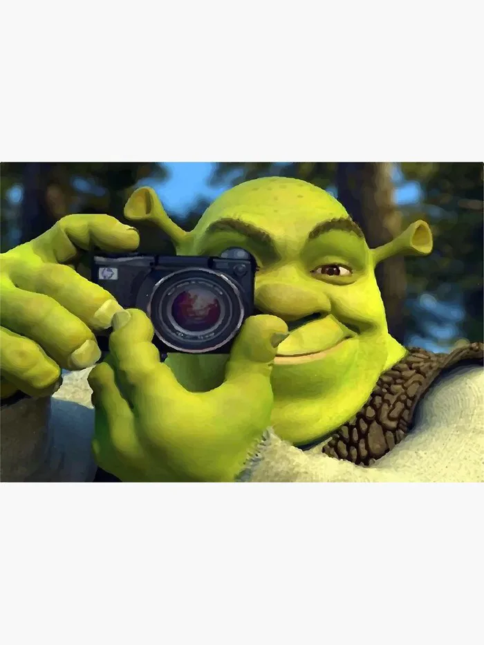 Shrek caught in 4k camera meme