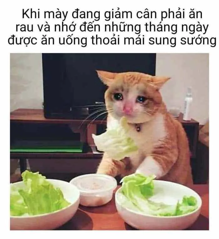 meme-an-uong-1