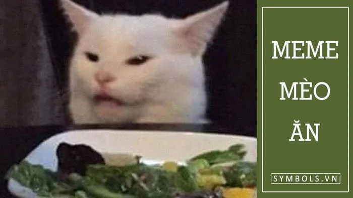 Meme Mèo Ăn Rau, Ăn Cơm, Ăn Chuối, Bim Bim [Siêu Cute]
